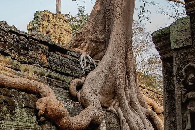 Siem Reap Private Full Day Angkor Wat Tour with Sunset or Sunrise - Angkor Thom begins with stone faces