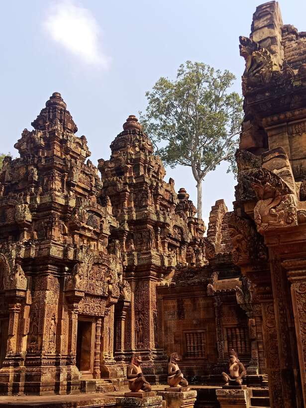Siem Reap Private Tour: Angkor Wat Sunrise And Banteay Srei - Who will get the most from this day