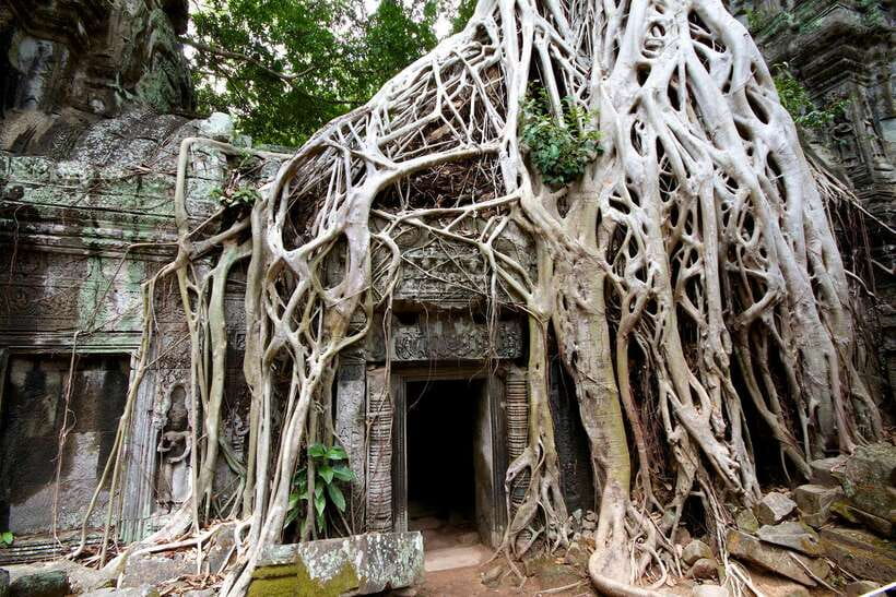 Siem Reap: Private Tour of Angkor Complex - Key points to know before booking