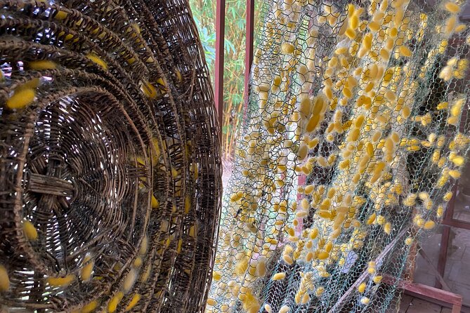 Siem Reap: Silk Farm & Countryside Offbeat Jeep Tour - How much value do you get for $55?