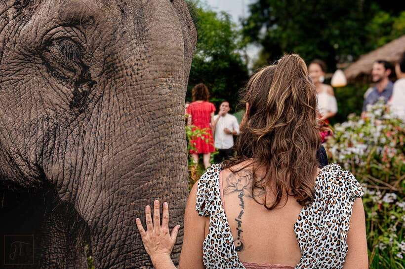 Siem Reap: Small Group Tour of Kulen Elephant Forest - Who will enjoy this half-day outing