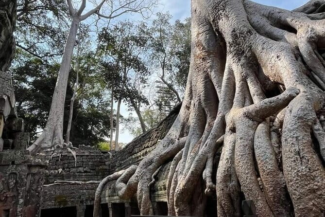 Siem Reap Temple Tuktuk Tour: Explore Angkor Wat and beyond. - Who will enjoy this outing most?