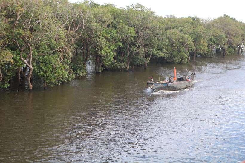 Siem Reap: Tonle Sap Lake - Fishing Village & Flooded Forest - The river boat and the flooded forest