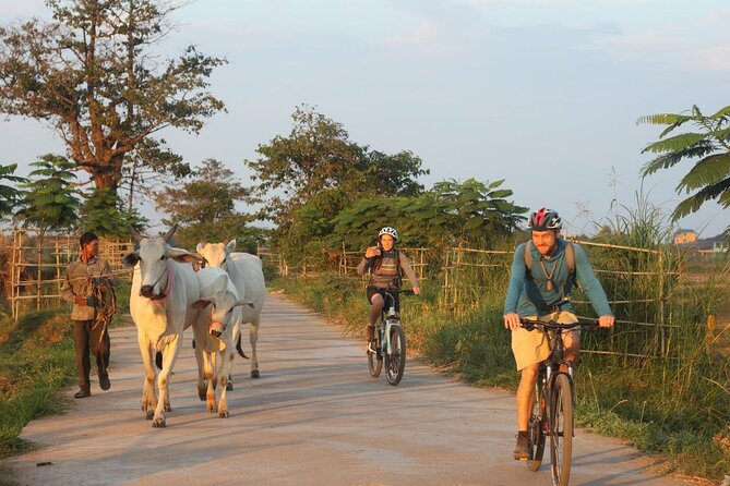 Silk Island at Twilight Cycle Encounter - Key points to know before booking