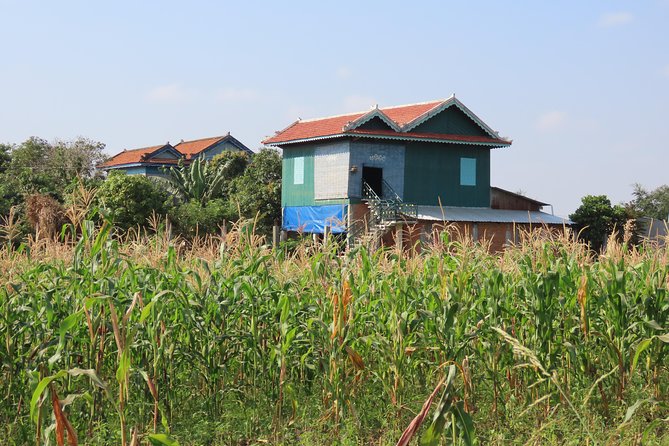 Silk Island & countryside of Phnom Penh by Tuk Tuk - Phsar Areyksat market and the first village walk