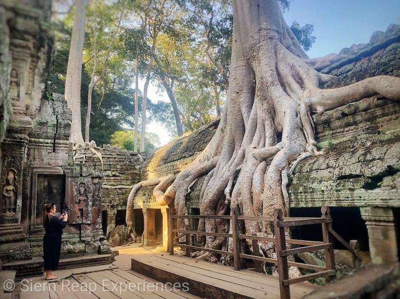 Small-Group Full Day Angkor wat Guide tour with Sun set - Ta Prohm and the power of atmosphere