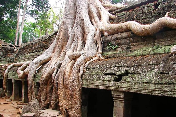 Special Three Days Angkor Tour - Angkor Wat and Ta Prohm Set the Tone