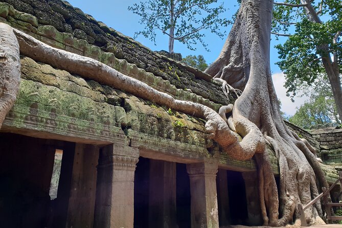 Special Three Days Angkor Tour - What the $70 Price Really Covers