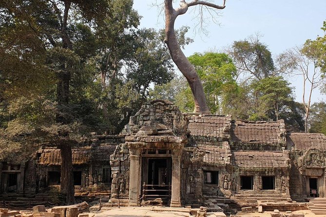 Sunrise Tour of Angkor Temples from Siem Reap - Who should book this Angkor sunrise tour