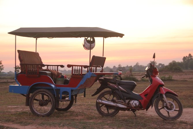 Sunset Dinner at Rice Paddy Fields - Dinner at a table beside the rice paddies