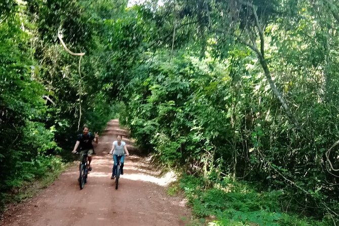 Sunset or sunrise bicycle tour around Angkor Wat and nearby temples - Why a bicycle works so well at Angkor