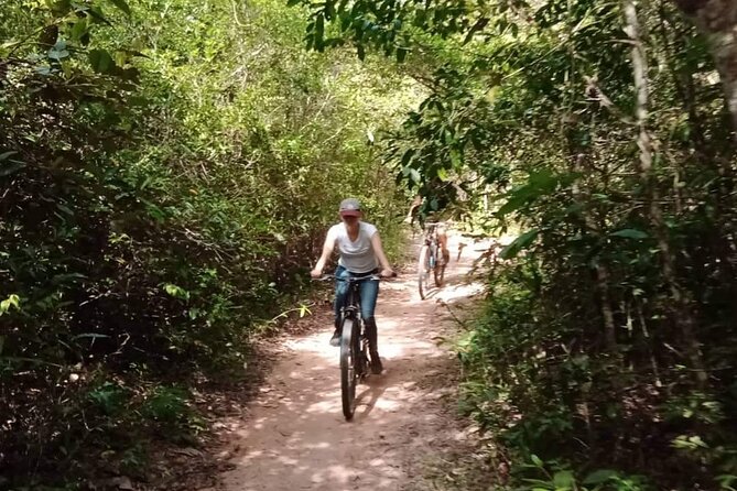 Sunset or sunrise bicycle tour around Angkor Wat and nearby temples - Ta Prohm and the power of the jungle