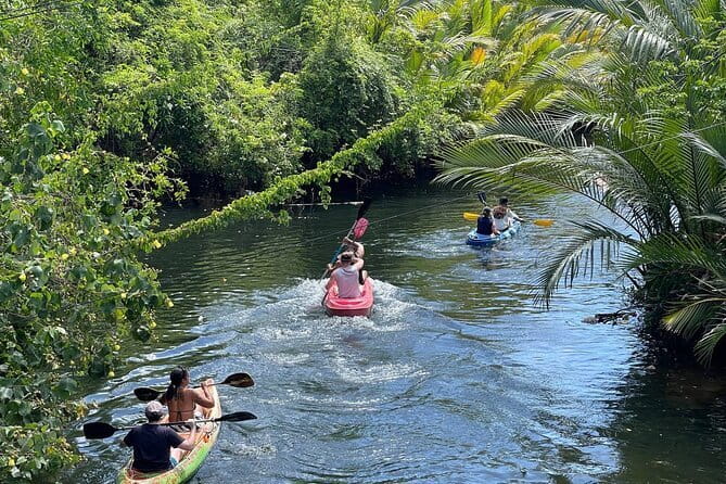 Sunset Scenic Kayaking and Swimming Activity - Key points to know before booking