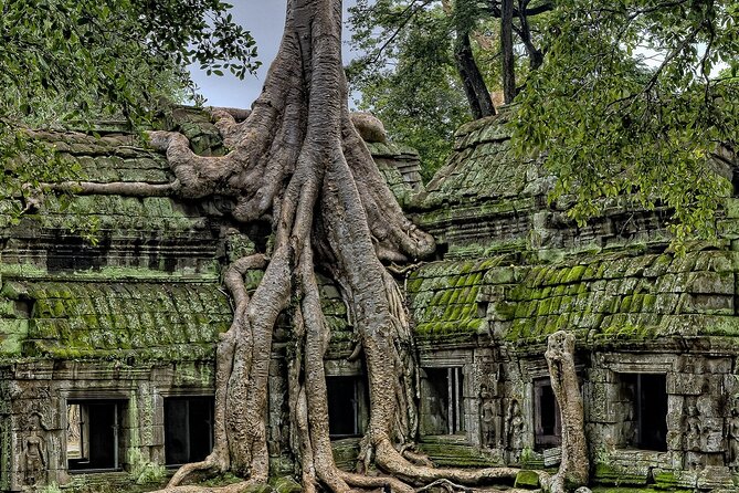 The Angkor Temples from Sunrise by Tuk Tuk - Angkor Wat at first light