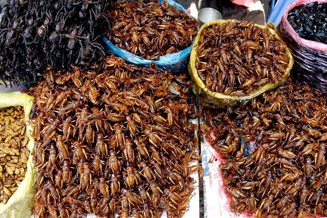 The Journey Phnom Penh to/from Siem Reap: A Memorable Tour - Skun and the fried tarantula stop