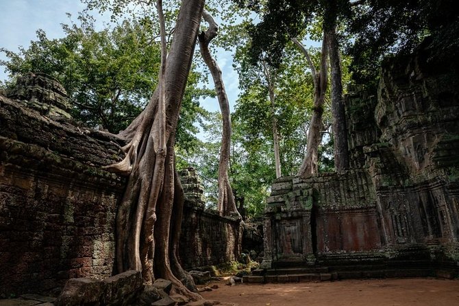 The Ultimate Angkor Wat Temple Private Day Trip - Who Will Get the Most From This Tour