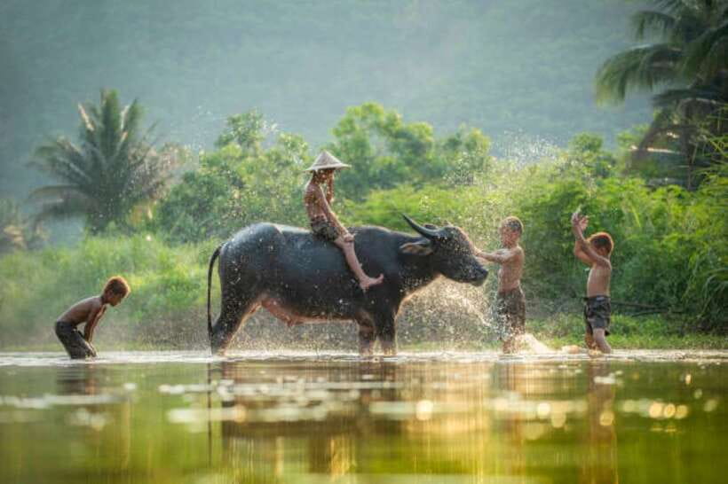 Tonle Sap Cruise & land Tour between Phnom Penh & Siem Reap - Four hours through Cambodia by road