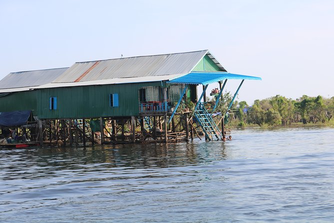 Tonle Sap Lake - Fishing Village & Flooded Forest - The flooded forest and the optional rowboat