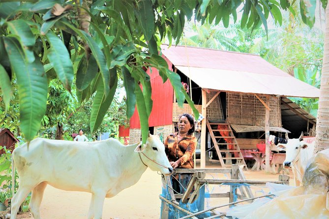 Tonle Sap Lake - Fishing Village & Flooded Forest - Who will enjoy this experience most