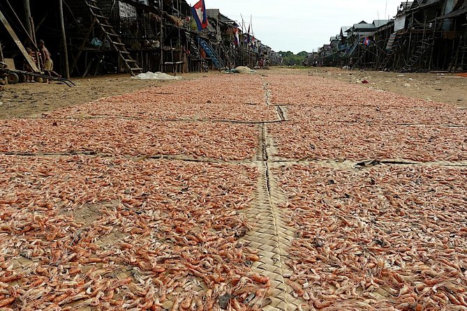 Tonle Sap Lake & Kampong Phluk Village Half-Day Tour - Morning versus afternoon departures