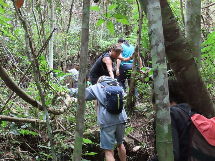 Trekking Tour at Phnom Kulen National Park from Siem Reap - Swimming at Kulen waterfall