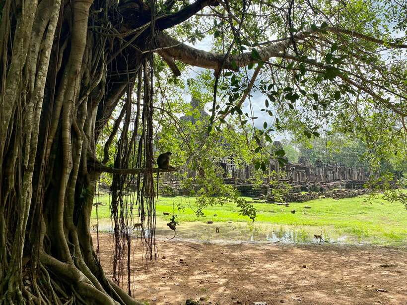 Trusty Tuk Tuk - Angkor Wat, the morning centerpiece