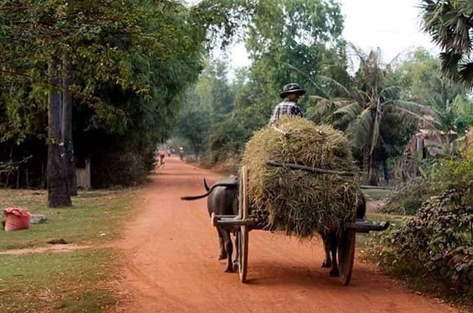 Tuk Tuk Journey: Exploring Rural Life and Silk Farm Craftsmanship - A short stop at Wat Khnat Rangsey
