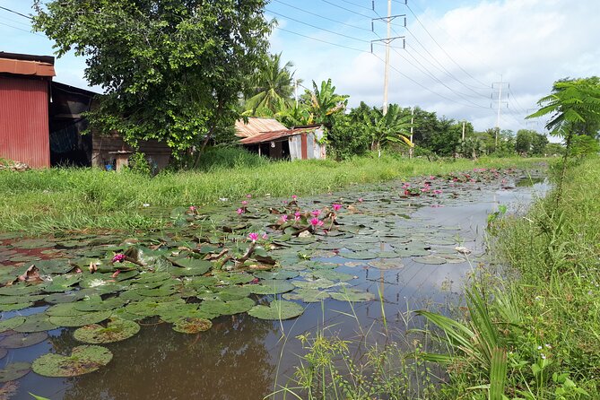 Tuk Tuk Journey: Exploring Rural Life and Silk Farm Craftsmanship - What the private vehicle adds
