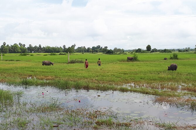 Tuk Tuk Journey: Exploring Rural Life and Silk Farm Craftsmanship - Is $45 a fair price?
