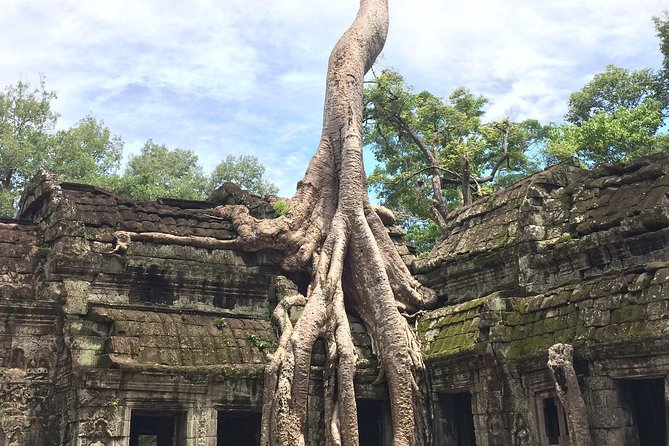 Unveiling 2 Days Private Angkor Wat/Beyond In Sunrise/Sunset Tour - What the guide and vehicle add