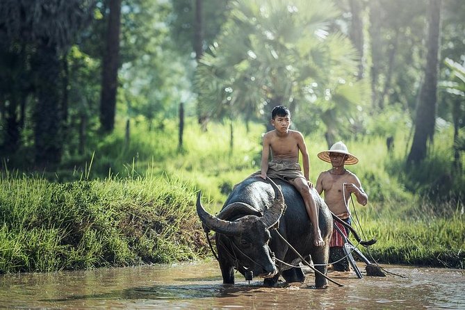 Village Life Tour from Siem Reap - Key points to know before booking