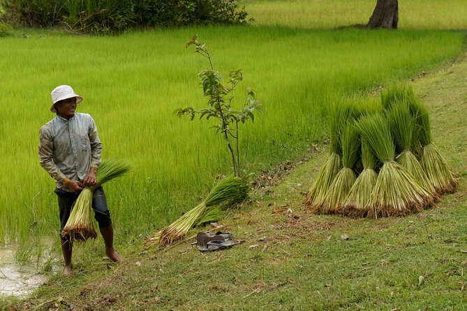 Village Life Tour from Siem Reap - Entering a working Cambodian village