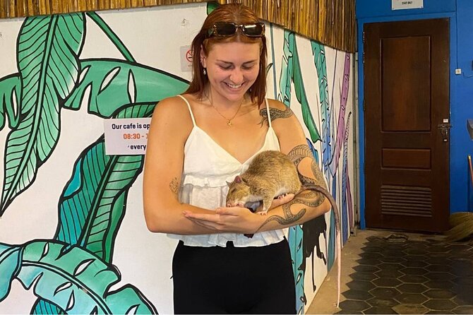 War Museum, Killing Field, and APOPO Hero RATs Tour - Key points to know before you book