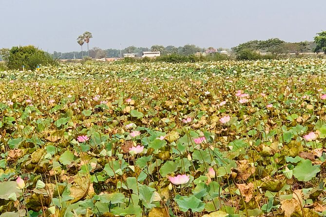 War Museum, Killing Field and Floating village ( Chong Kneas) Tour - Who will get the most from this day