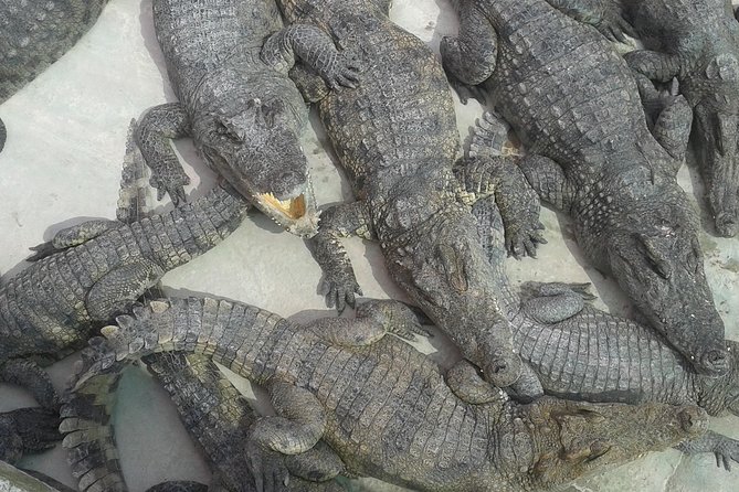 War Museum, Killing Field and Floating village ( Chong Kneas) Tour - The War Museum puts the civil war in human terms
